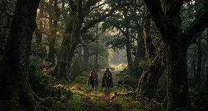 Deux petites figures capuchonnées marchent sur un sentier mousseux à travers une forêt dense et ancienne, baignée d'une lumière dorée.