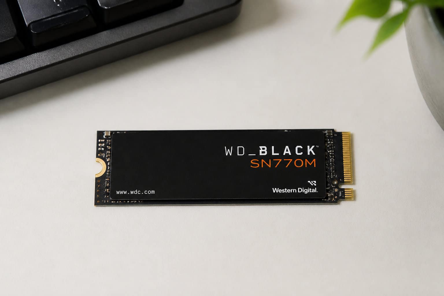 WD_BLACK SN770M : l'équilibre parfait pour ta console Valve